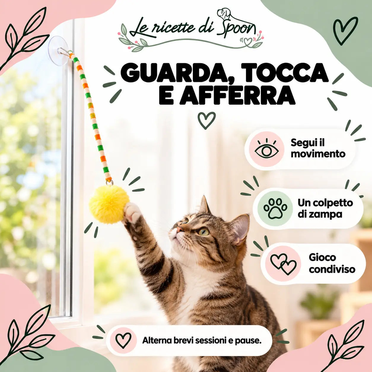 Gioco con il gatto: guarda, tocca e afferra