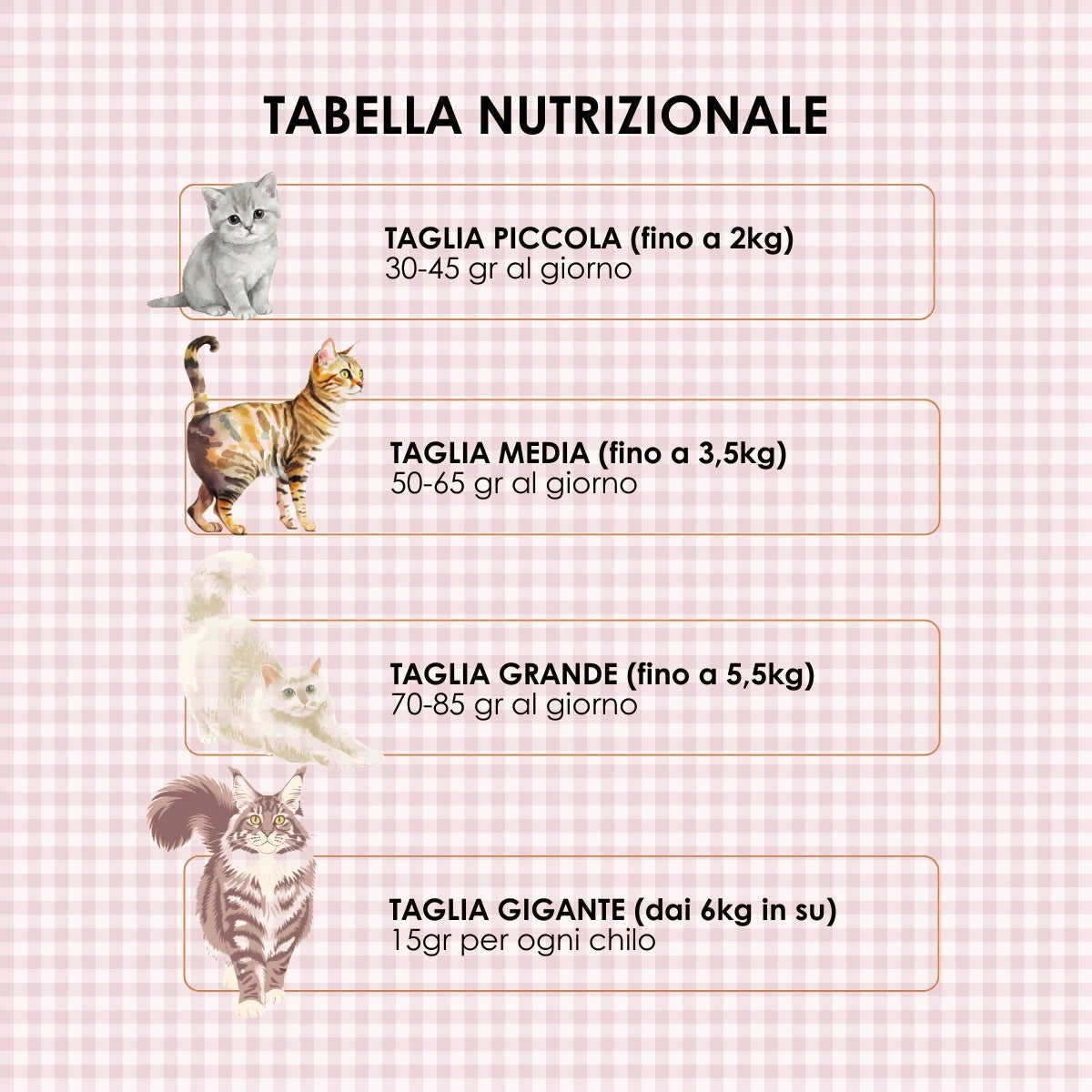 Box degustazione 12 gusti (12x70gr) umido naturale - Carne o Pesce, acqua di cottura ed un pizzico di riso, cotti al vapore in lattina