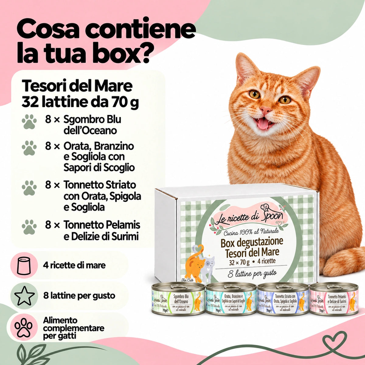 Tesori del Mare – contenuto della box risparmio su fondo bianco