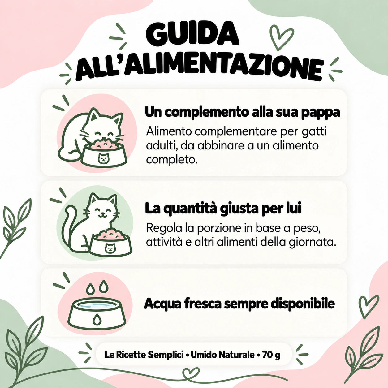Guida all'alimentazione - Le Ricette Semplici umido naturale gatto