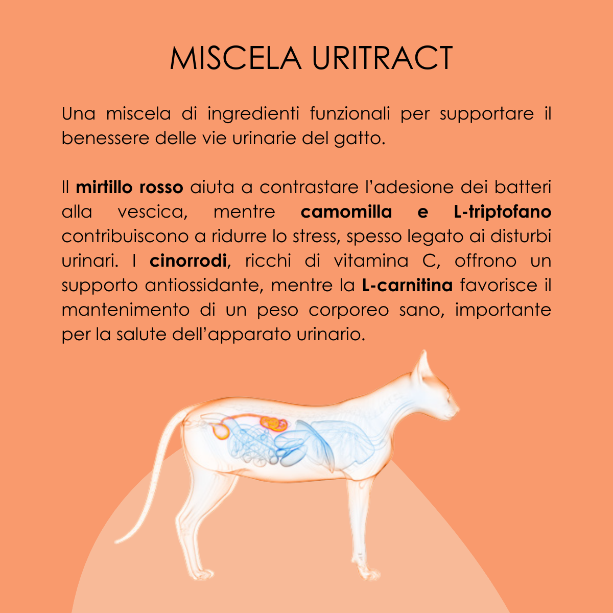 VetCare crocchette gatto - Urinary care, gatto sterilizzato e adulto