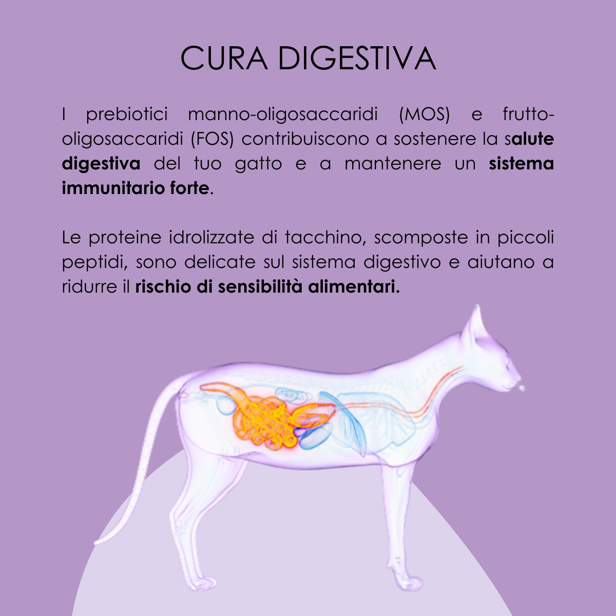 VetCare crocchette gatto - Cura gastrointestinale e digestiva, gatto sterilizzato e adulto