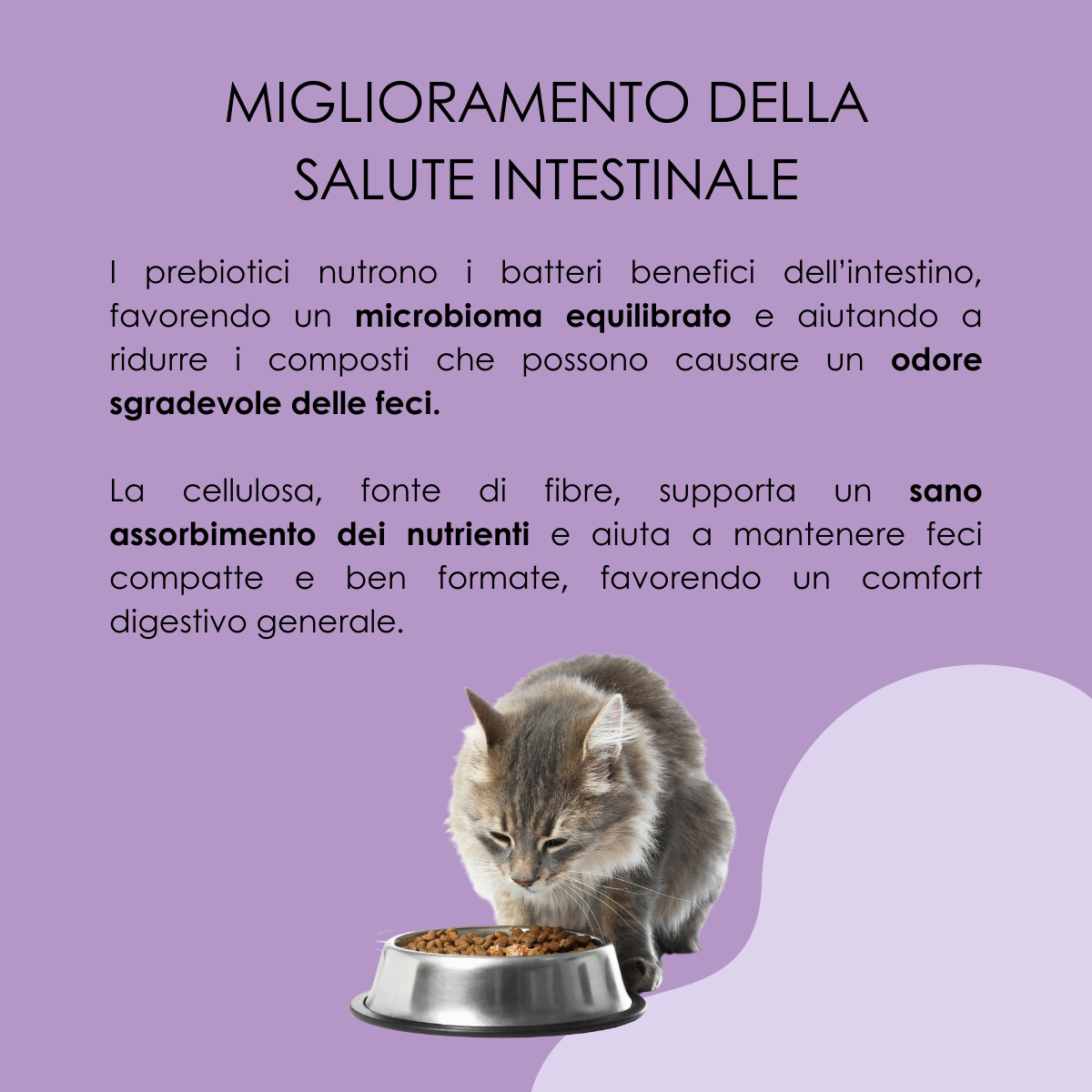 VetCare crocchette gatto - Cura gastrointestinale e digestiva, gatto sterilizzato e adulto