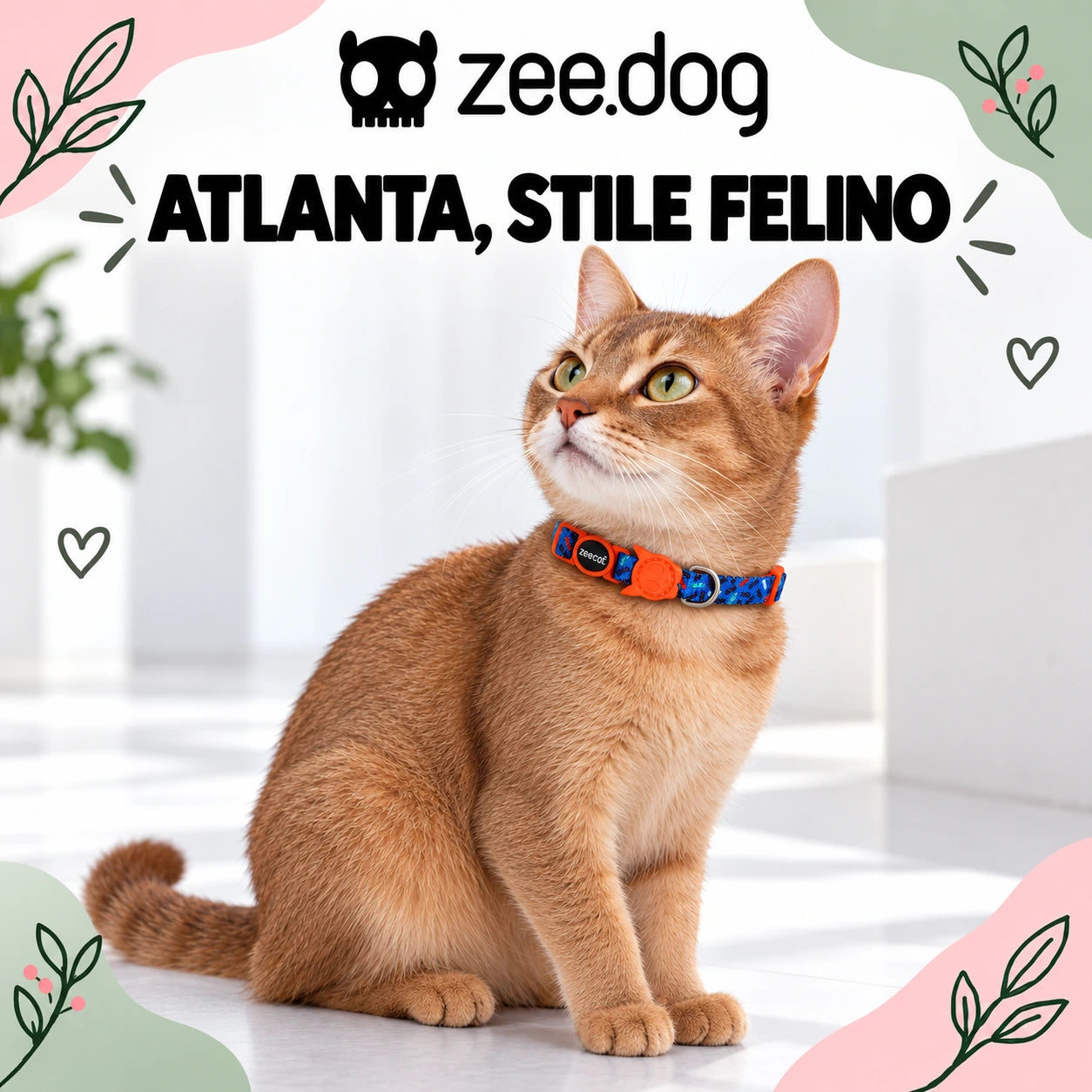 Zee.Dog Atlanta — indossato da un gatto, ambientazione illustrativa