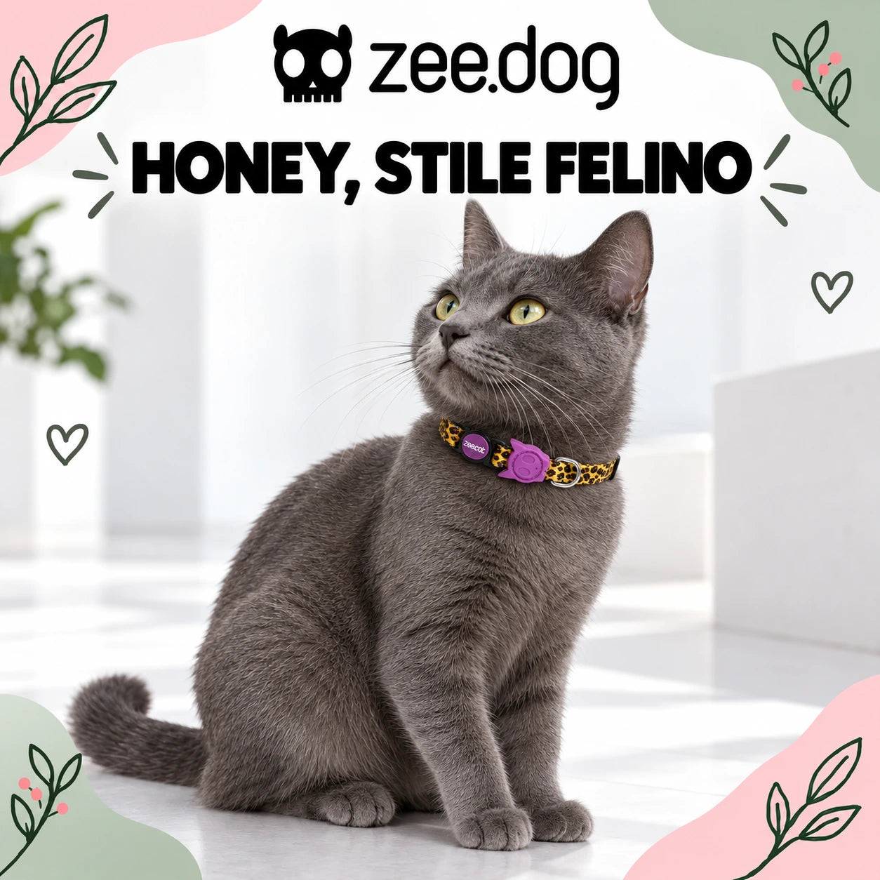 Zee.Dog Honey — indossato da un gatto, ambientazione illustrativa