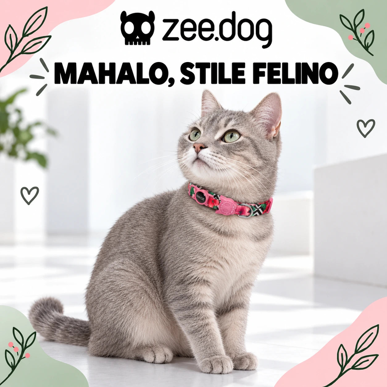 Zee.Dog Mahalo — indossato da un gatto, ambientazione illustrativa