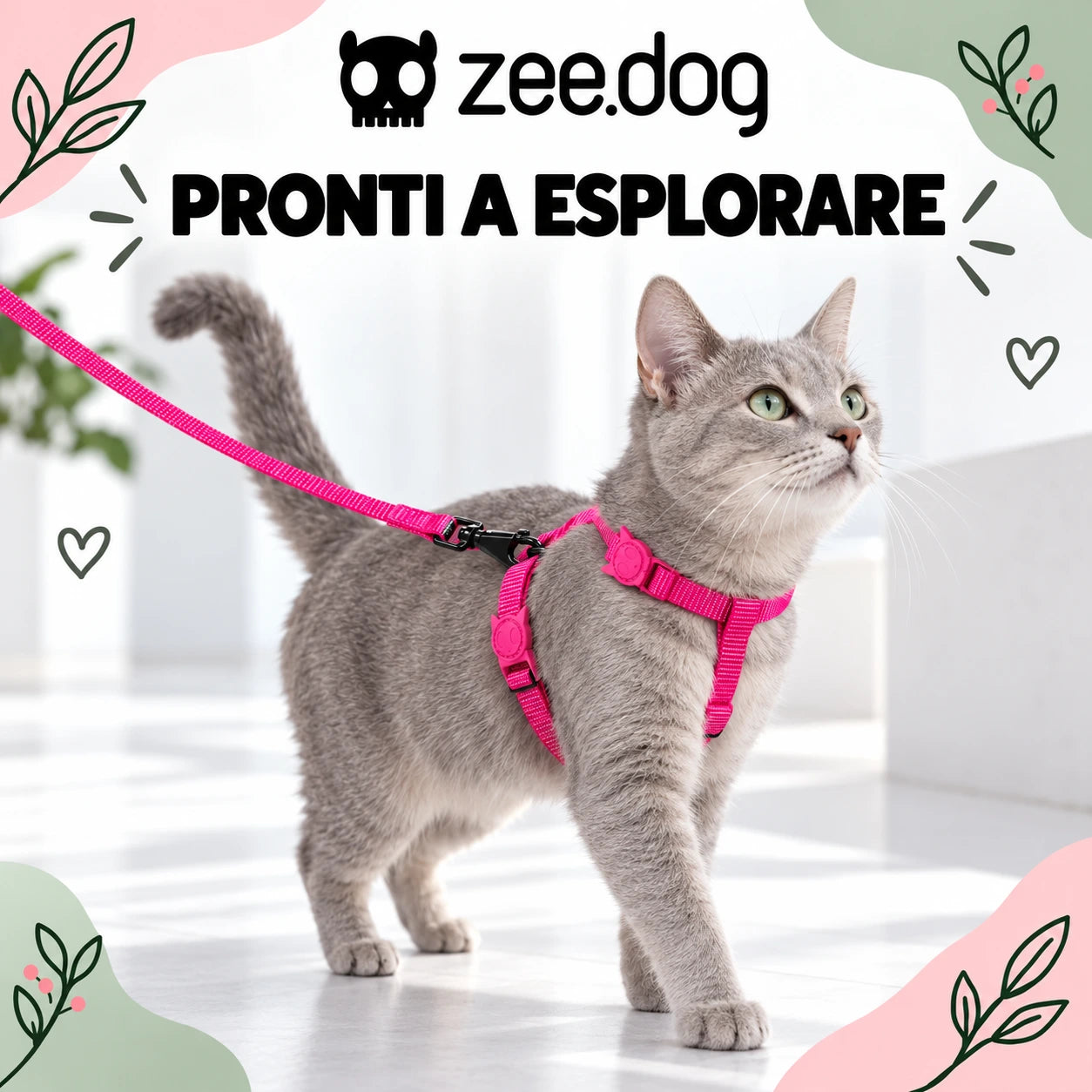 Zee.Dog Pink LED — indossato da un gatto, ambientazione illustrativa